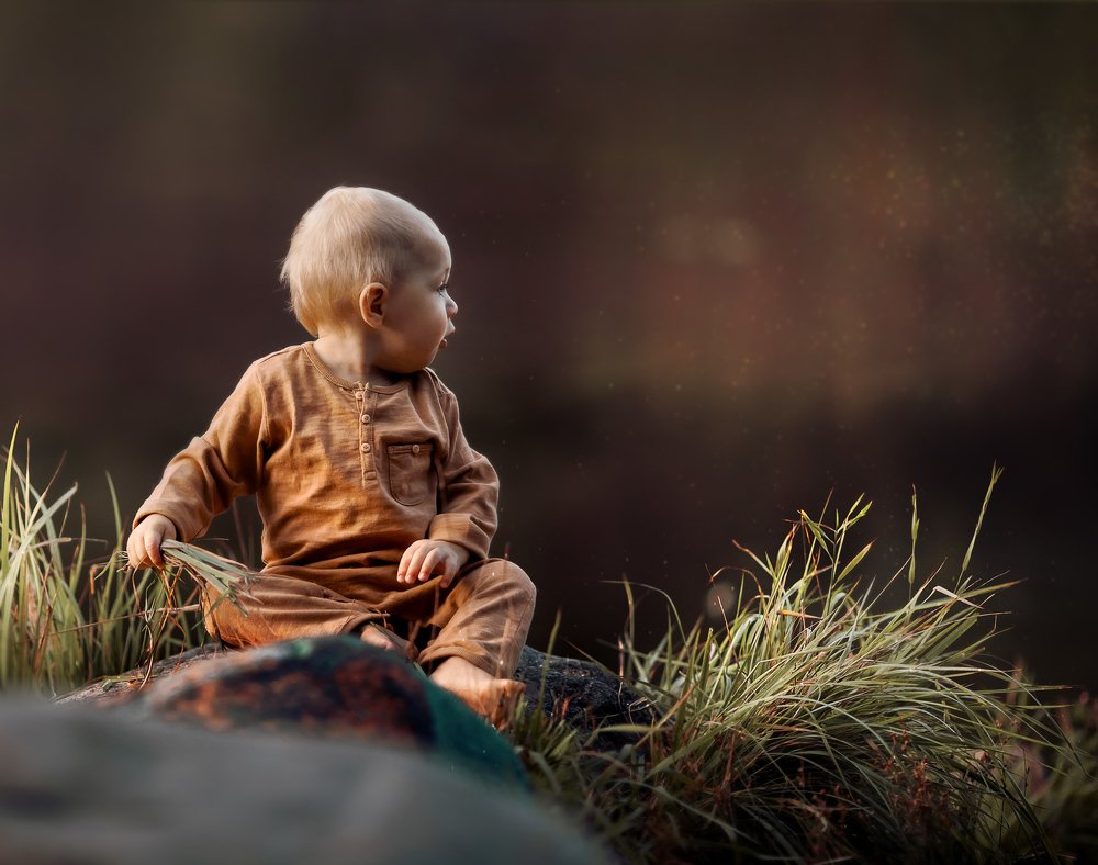 Удивительный мир