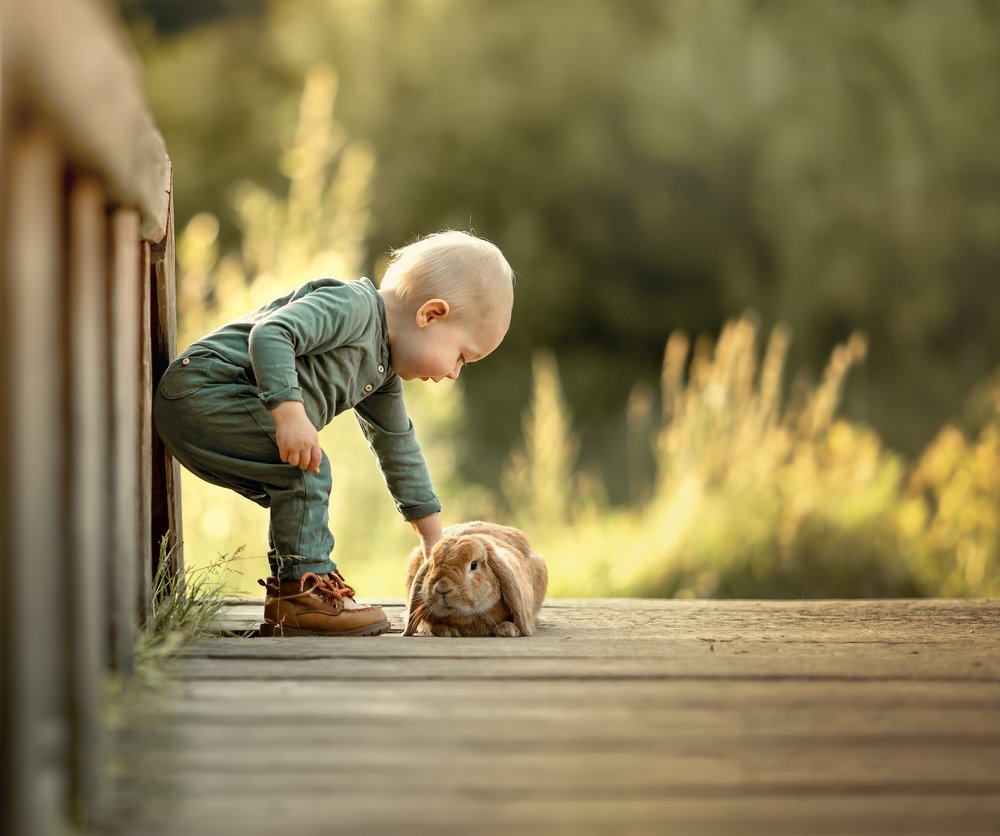 Жизнь прекрасна !