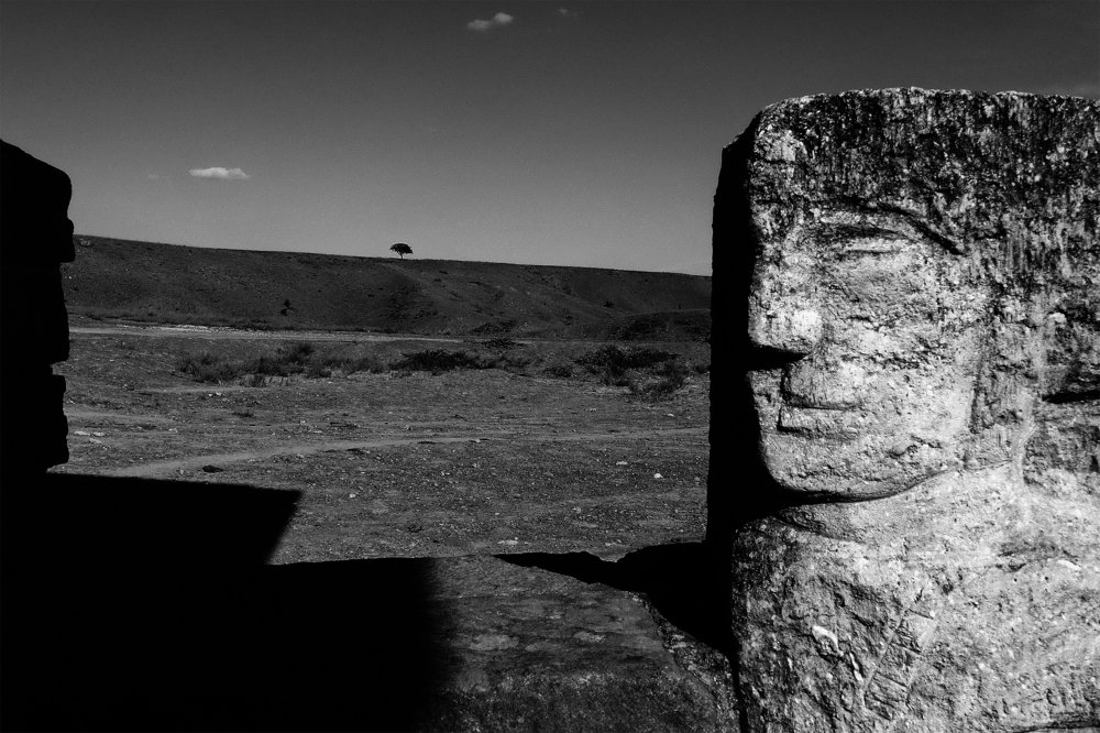 Дикая фисташка живописца Ледкова