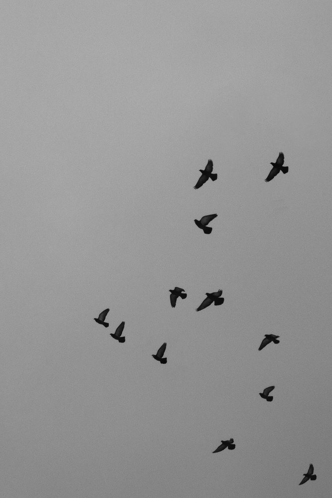 Photograph by Оксана Вербова