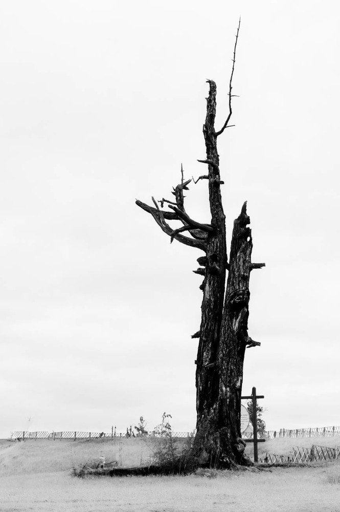 Photograph by Ольга Никифорова