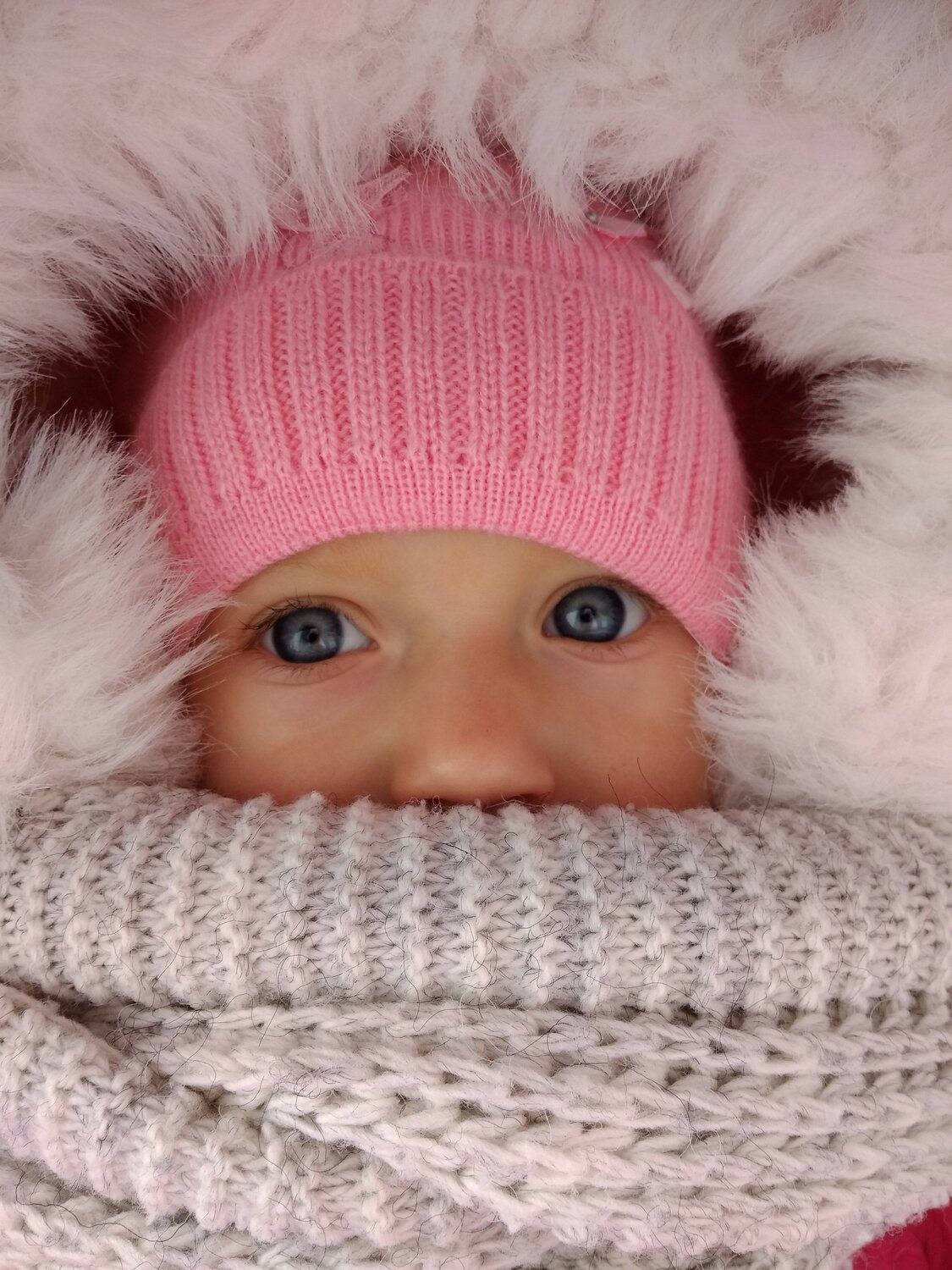 Photo #3125885