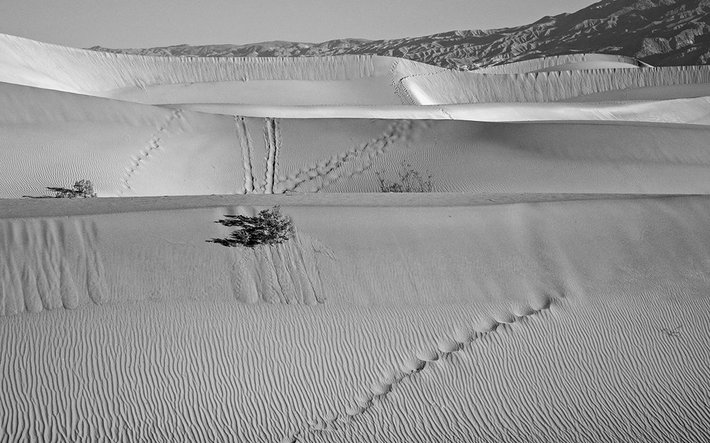 Death Valley, Mesquite Flat Sand Dunes, California.