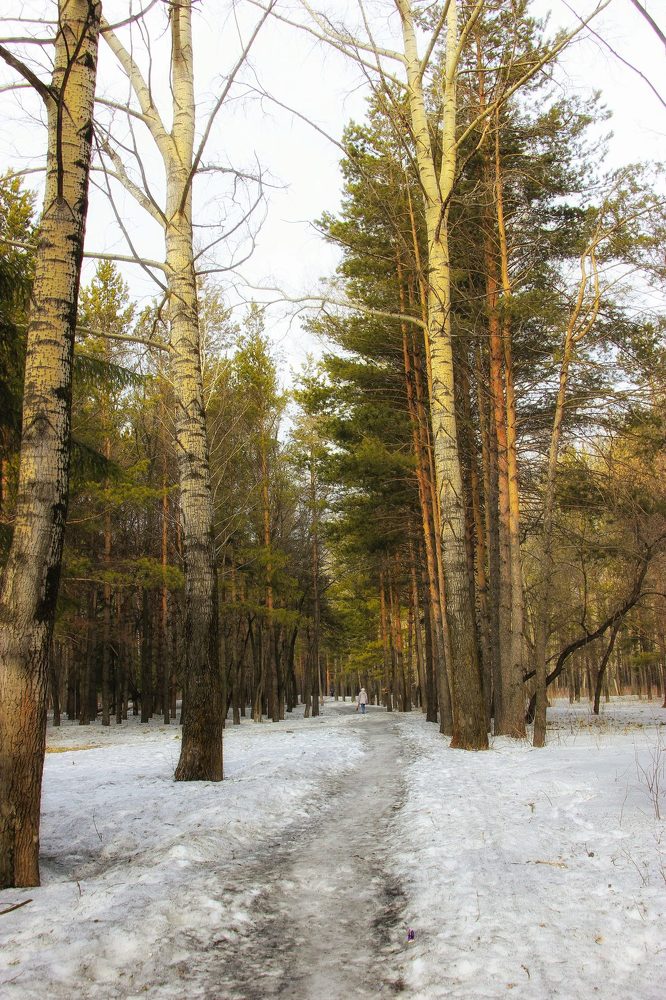 Дыхание весны