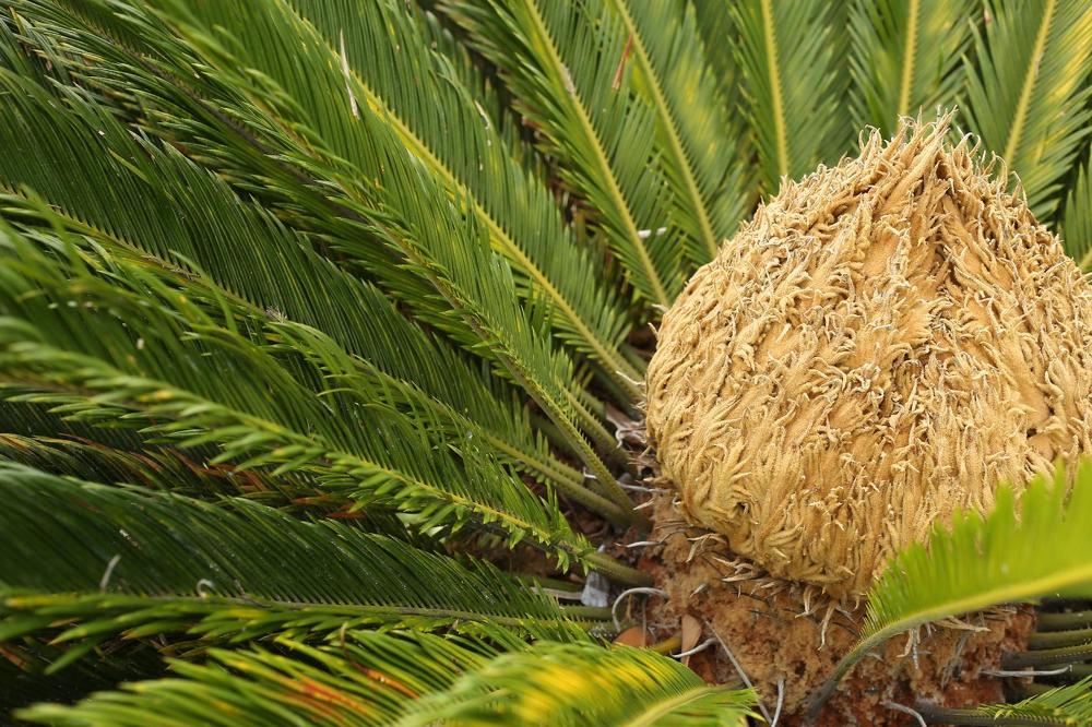 Фотография автора Светлана Дубина