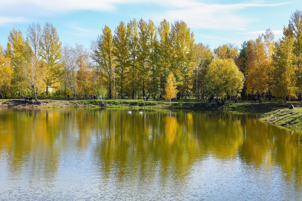 Фотография автора Светлана Дубина
