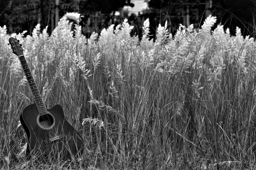 NATURES MUSIC