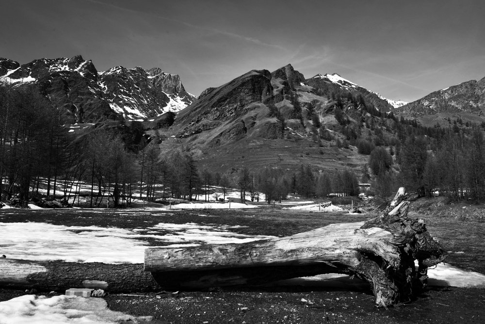 terminado el invierno