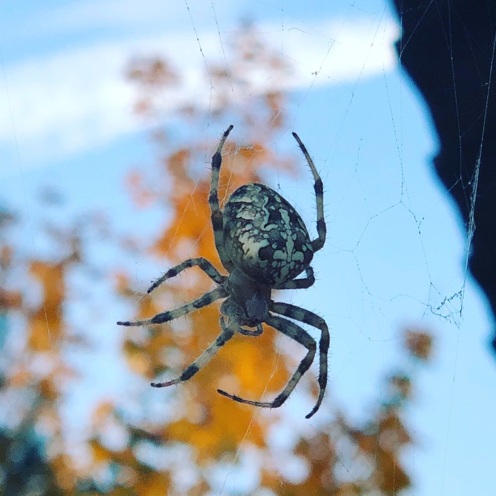 Photograph by Ольга Рогозинская