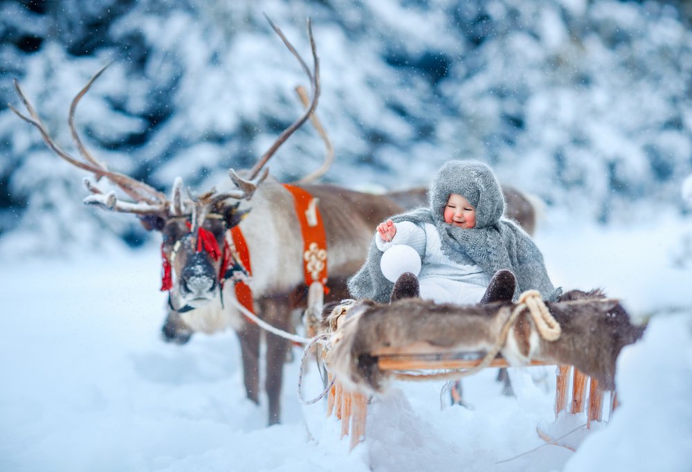 На родных просторах Крайнего Севера