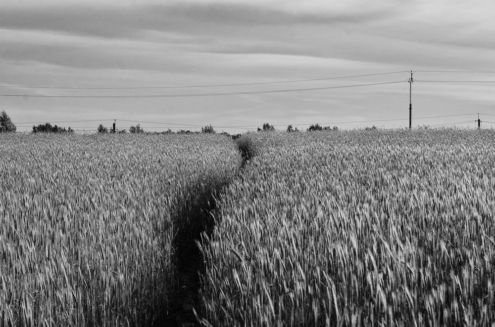 Photograph by Чулков Иван