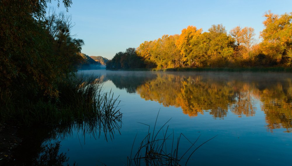 Осенние утро