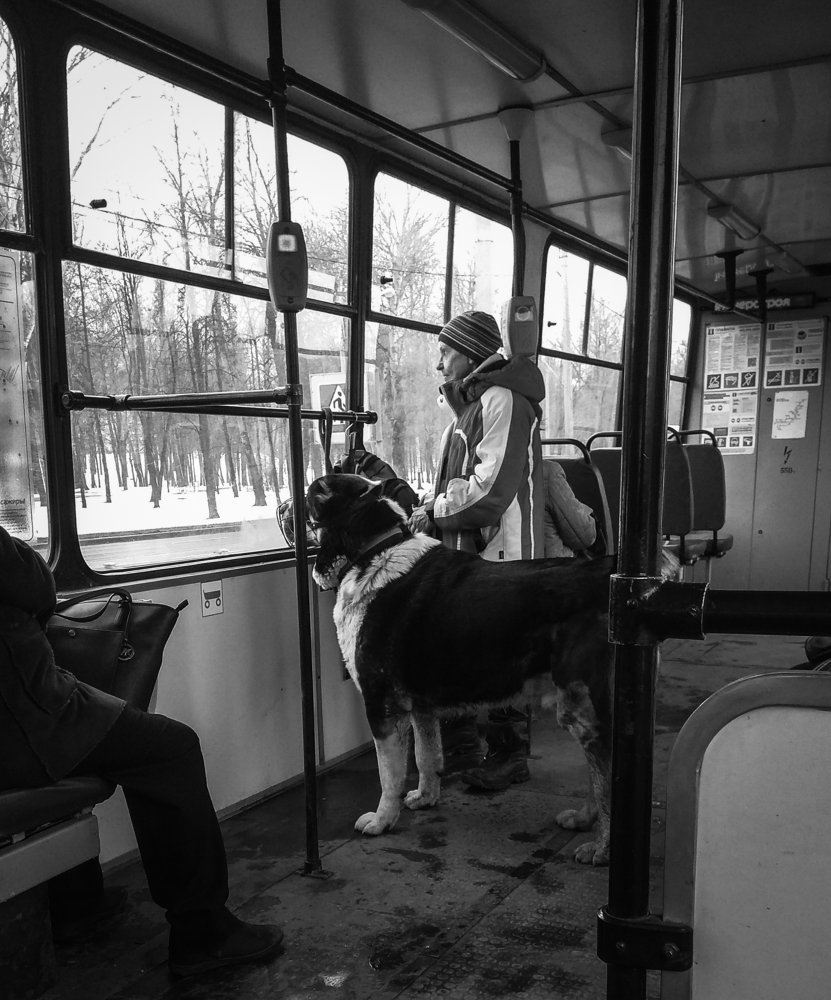 Думаем о вечном