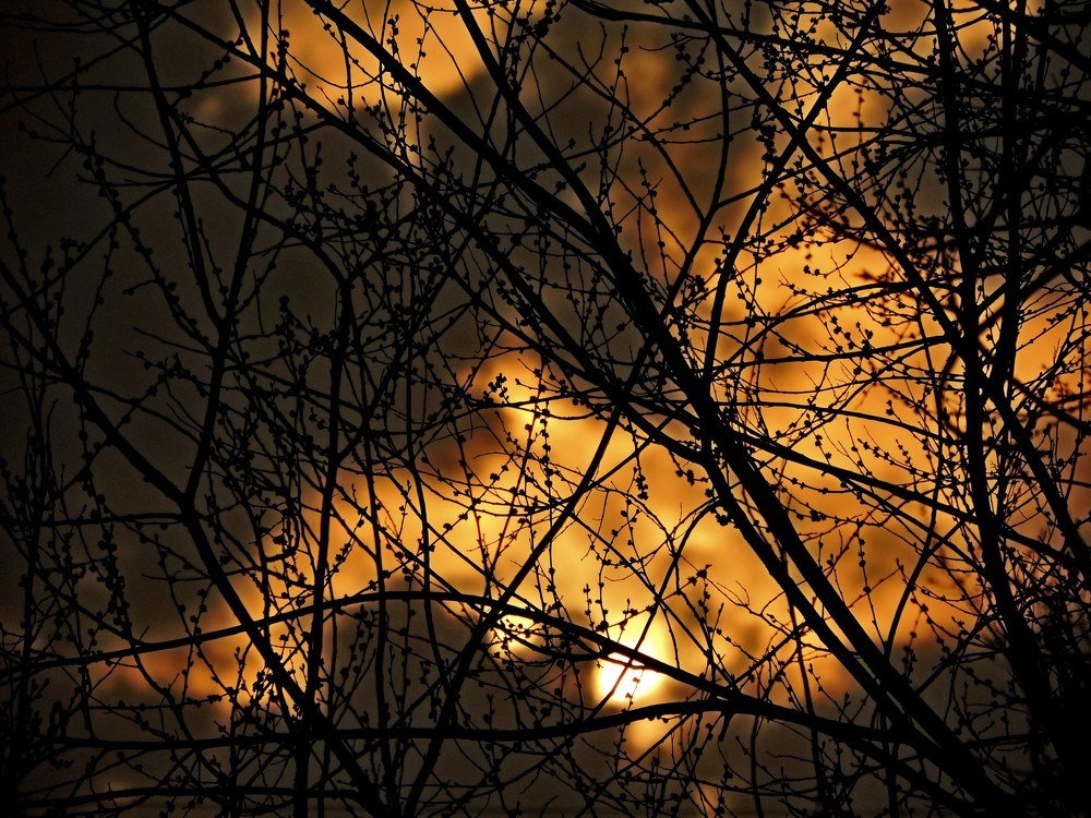 Весенний закат