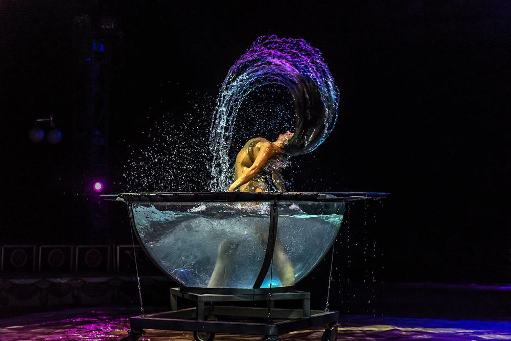 Circus Medrano Italy