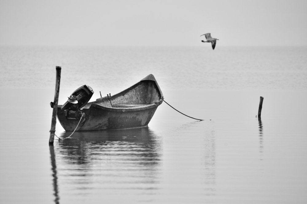 Photograph by Luca Arsinel