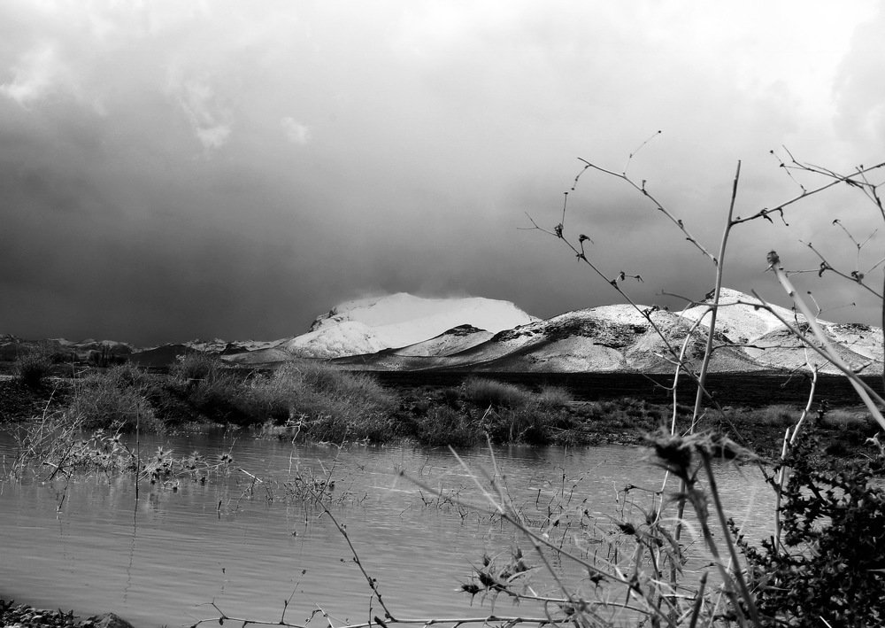 Photograph by Farinaz Bagherpour