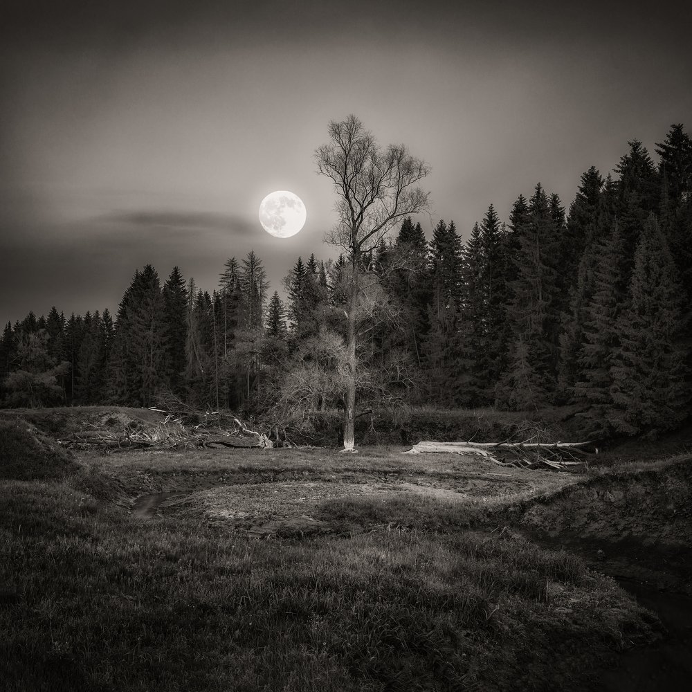 Photograph by Вадим Смирнов