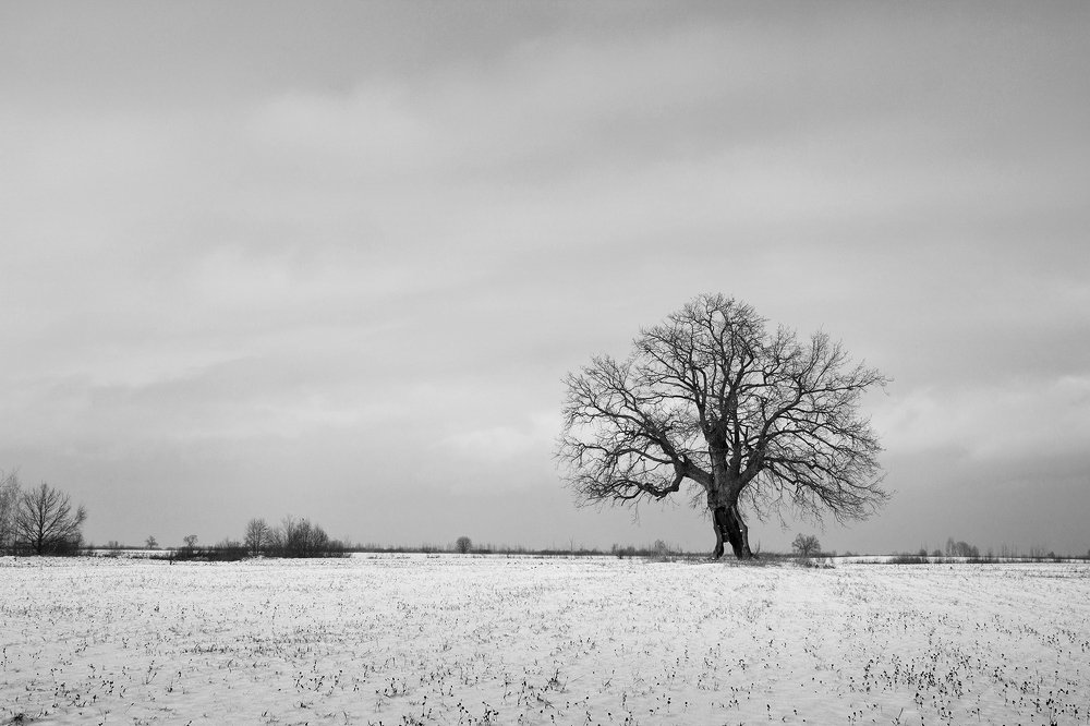 Жажда жизни