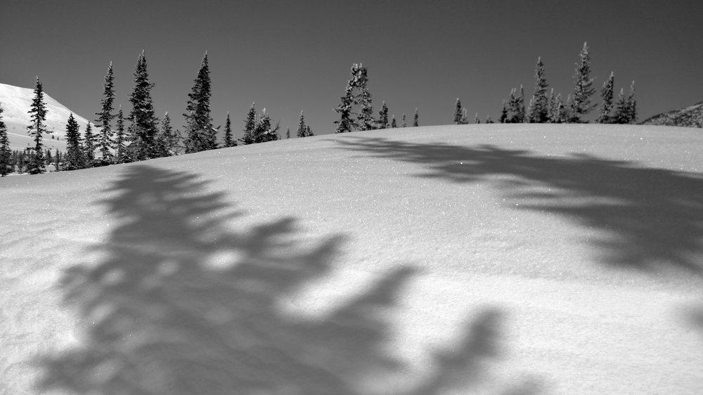 Зимняя сказка