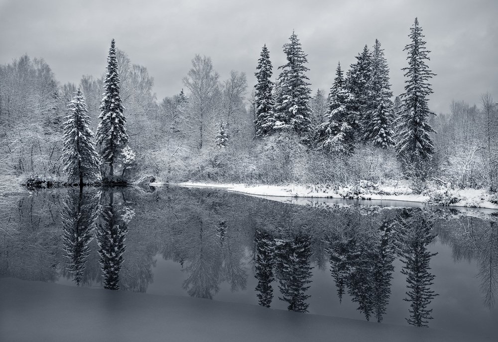 Припорошило