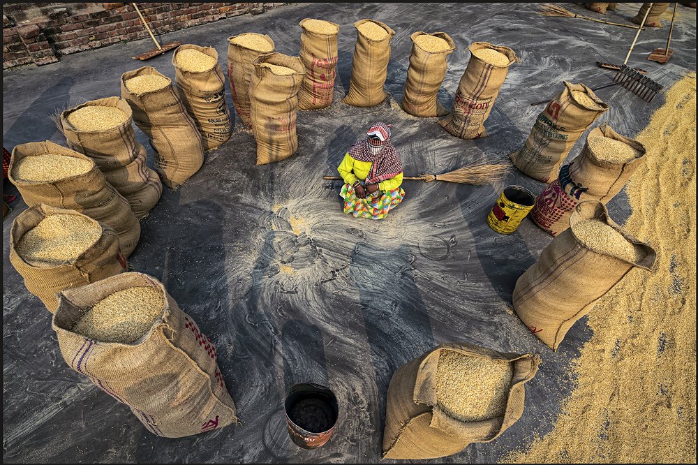 The circle rice field