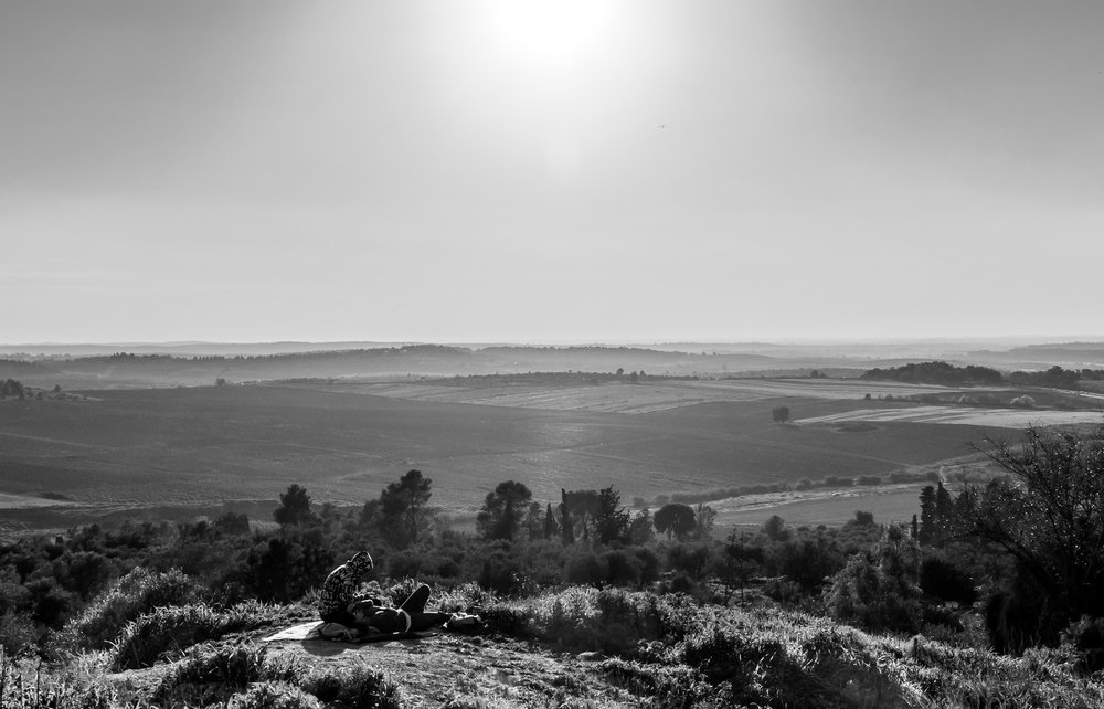 Последние лучи дня