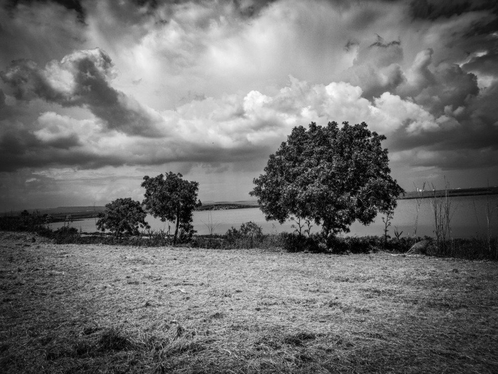 Photograph by Natalya  Kovalevskaya