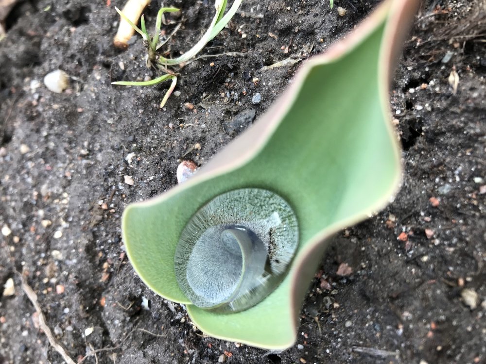 Отражение в капле