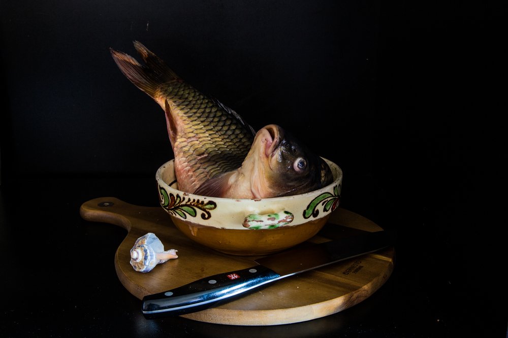 fish