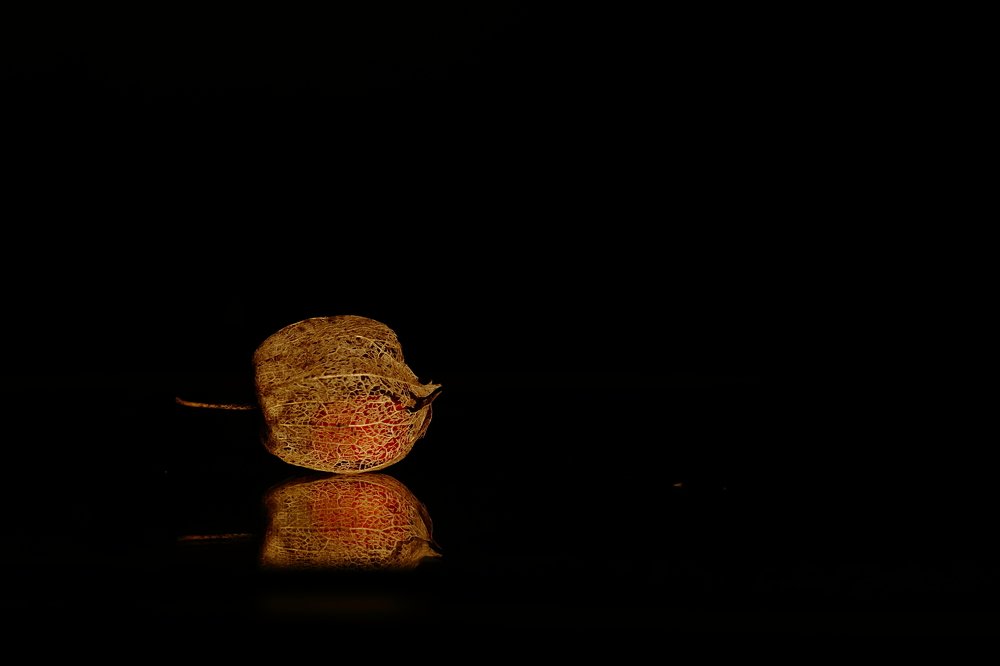 orange mood