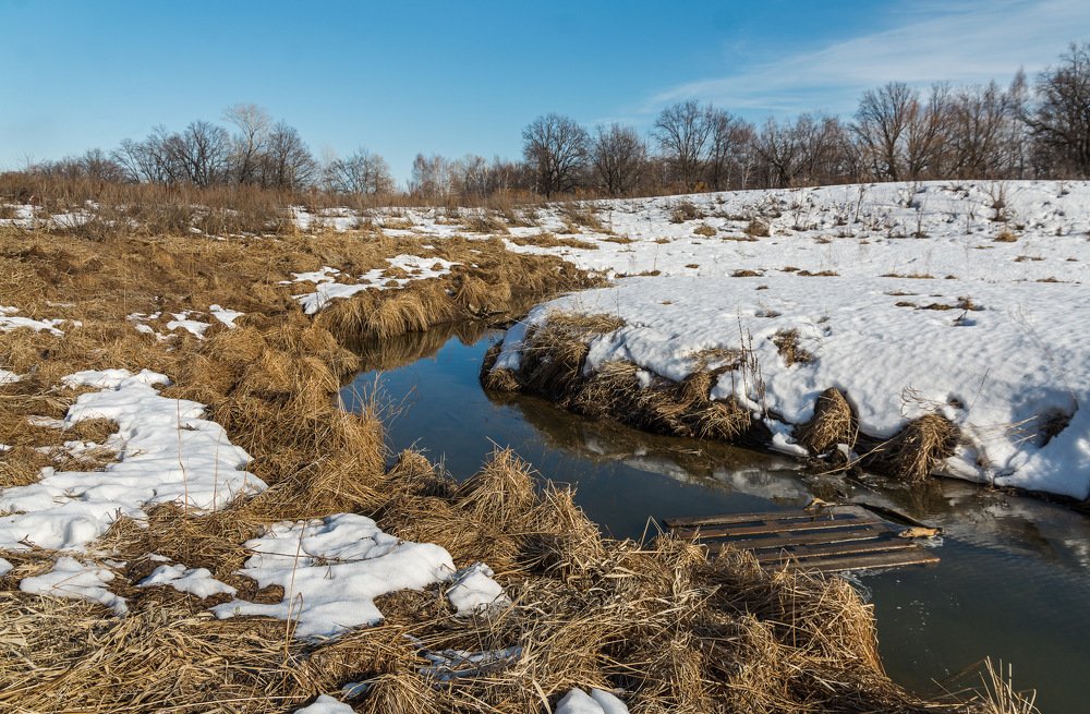 Великое пробуждение