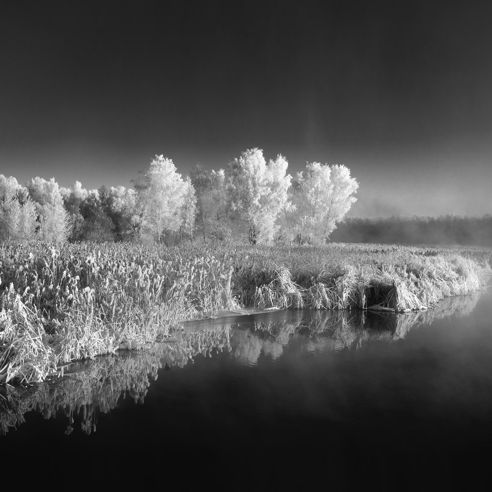 Морозное утро