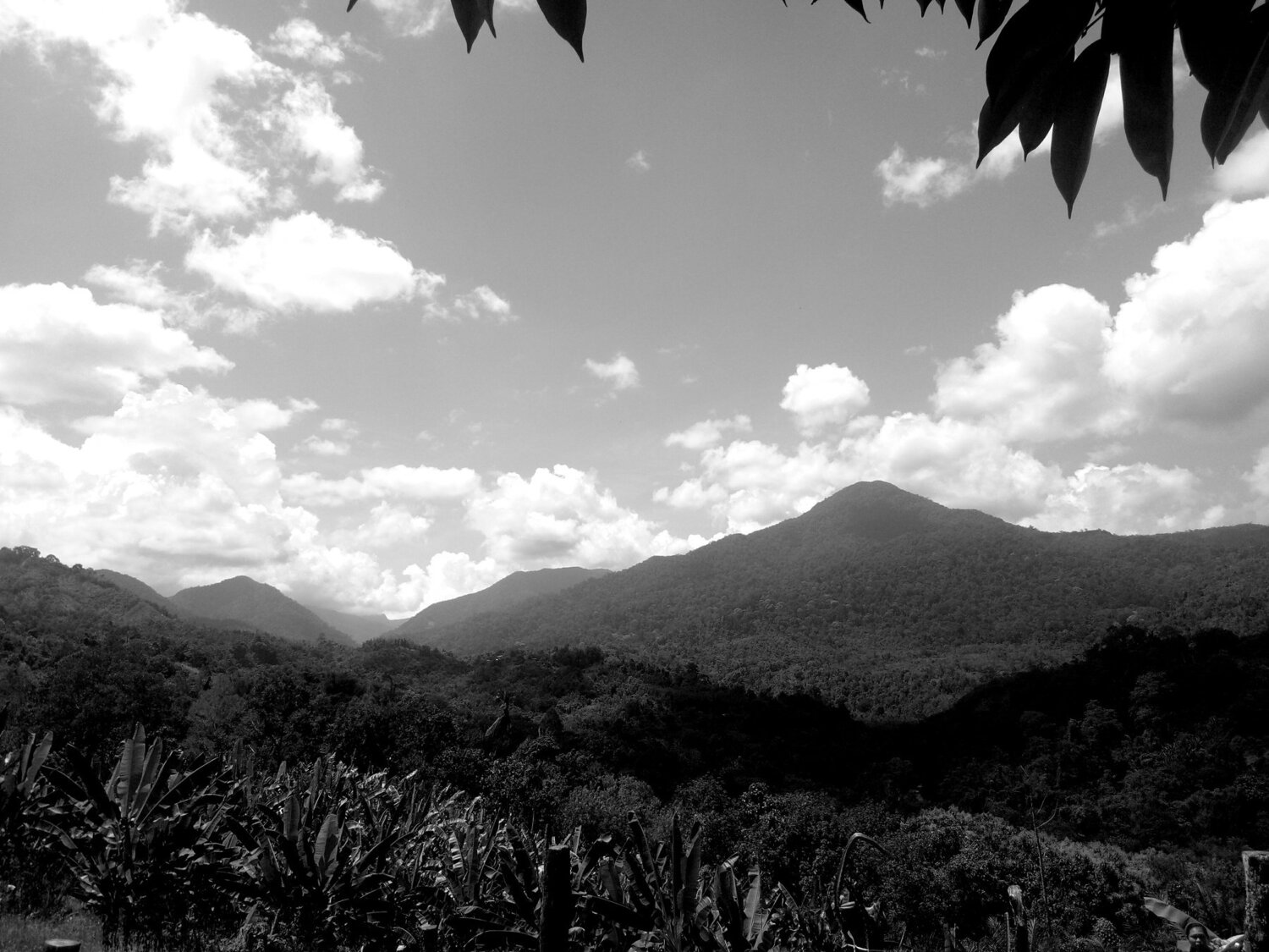 Farm-village view