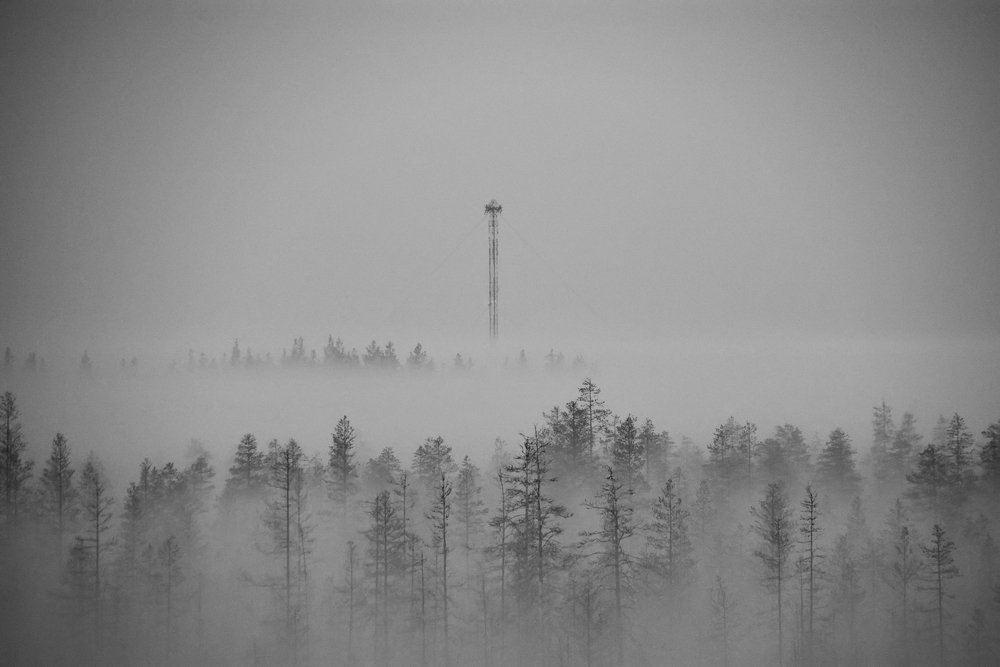 Утренний туман