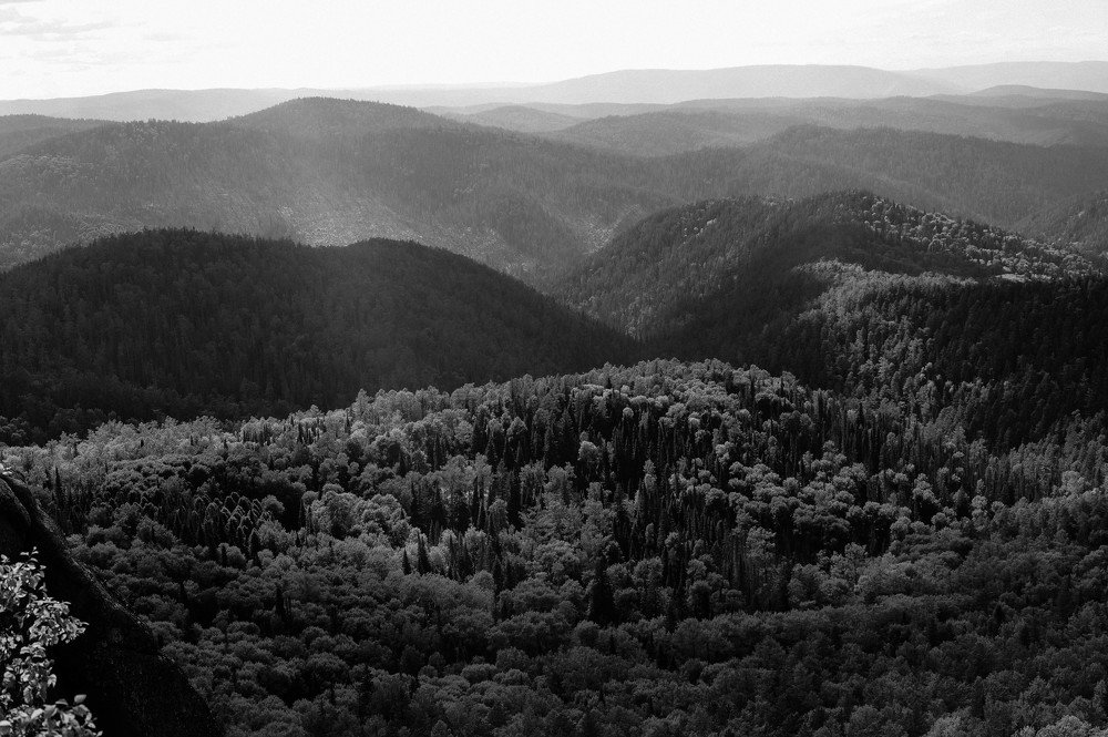 Photograph by Илья Бузаев