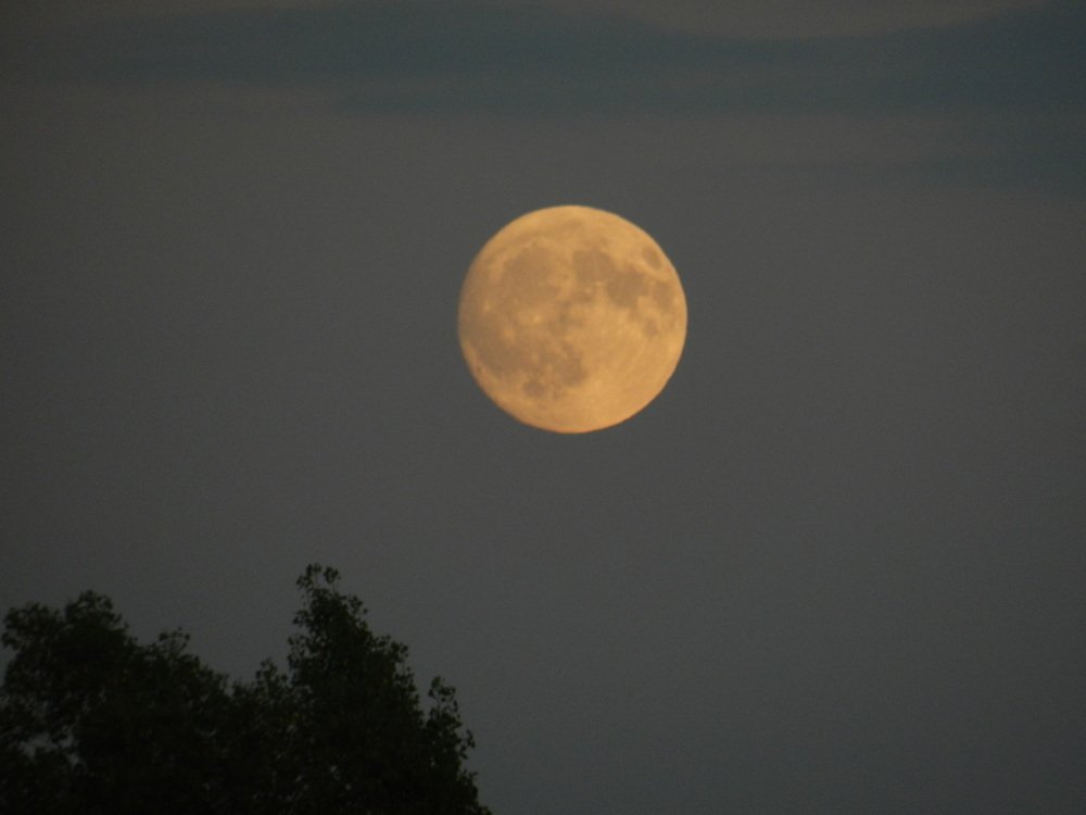 Photograph by mahmoud shihabi moni