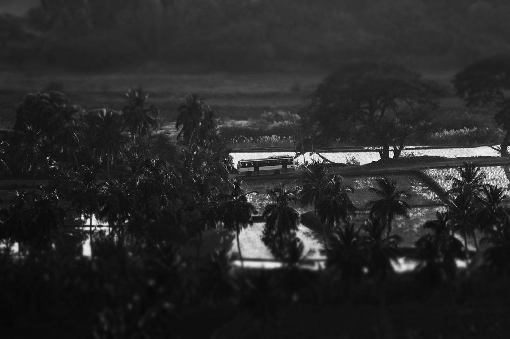 Photograph by Виталий Гуляев