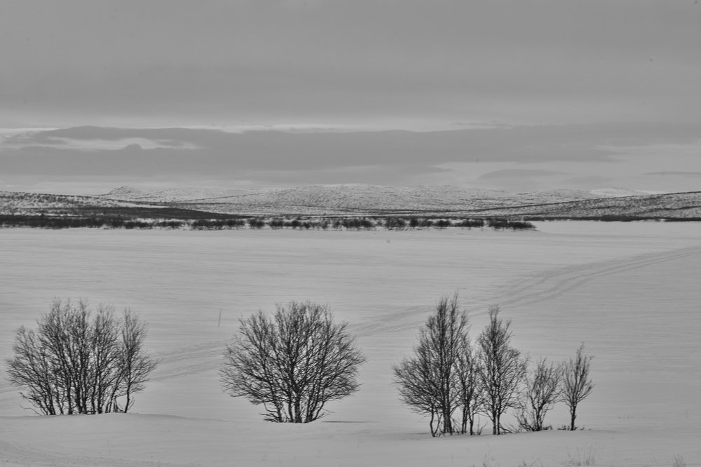 Кольский полуостров.