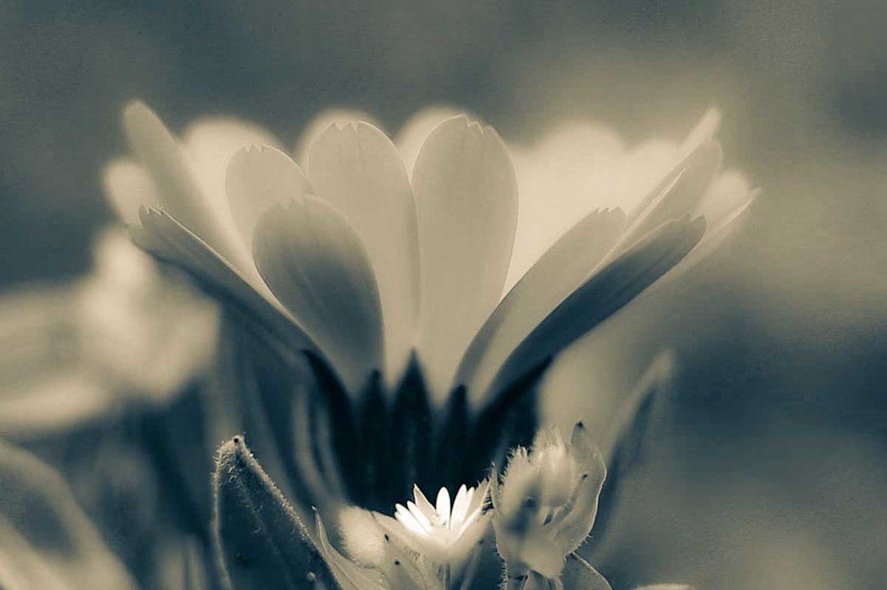 Photograph by mehdi yaghoob