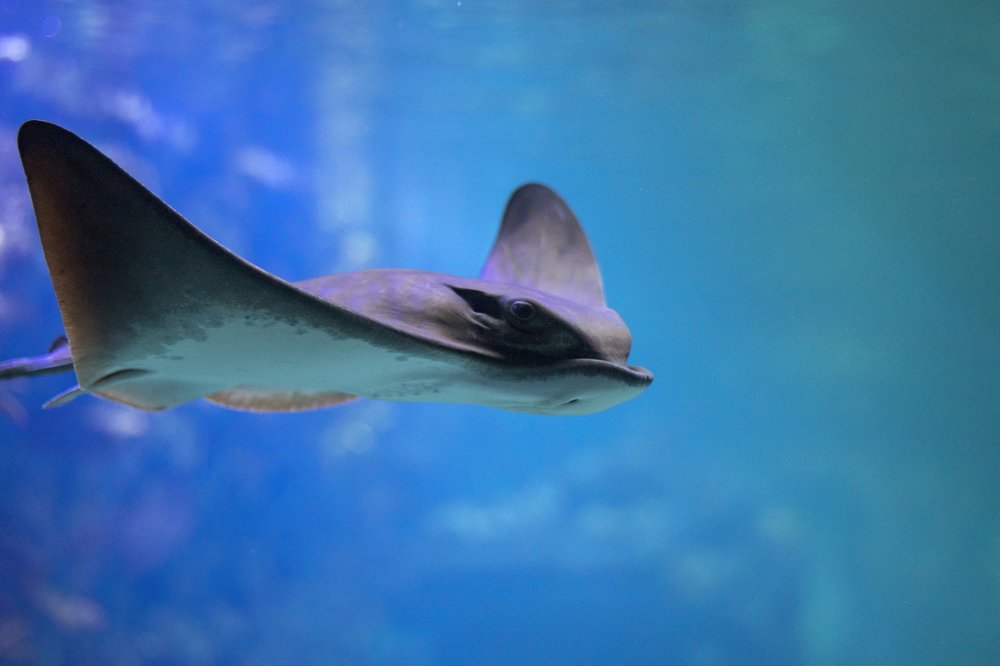 Photograph by Олег