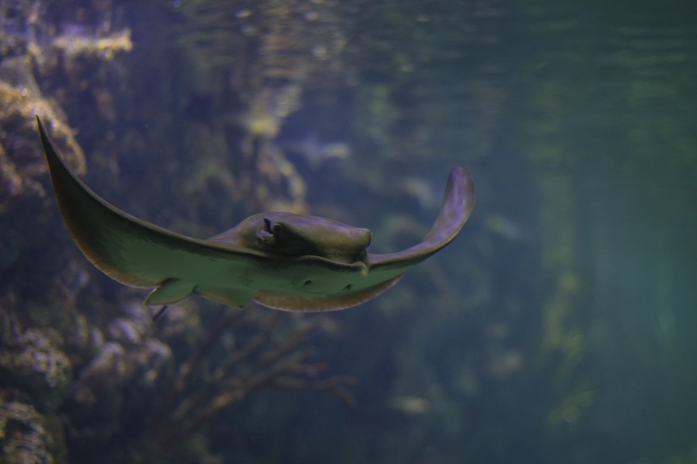 Photograph by Олег