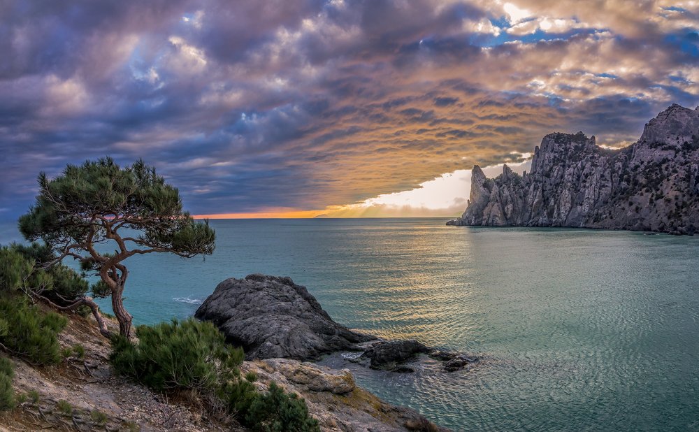 Вечер в Новом Свете