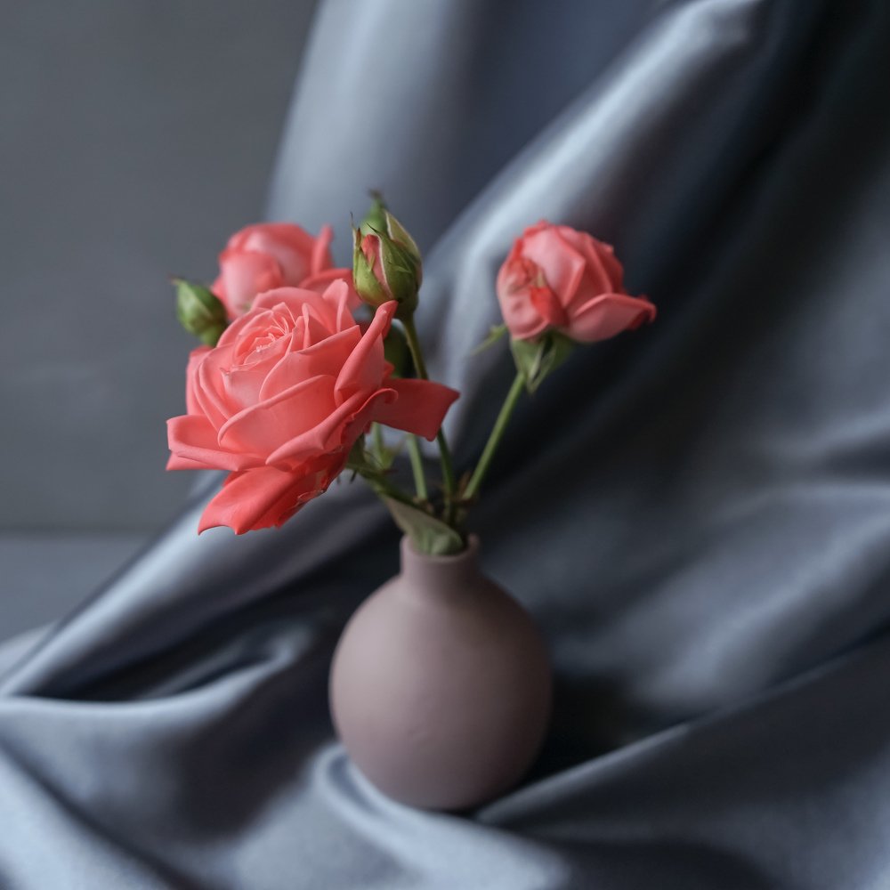 Photograph by Асель Рембекова