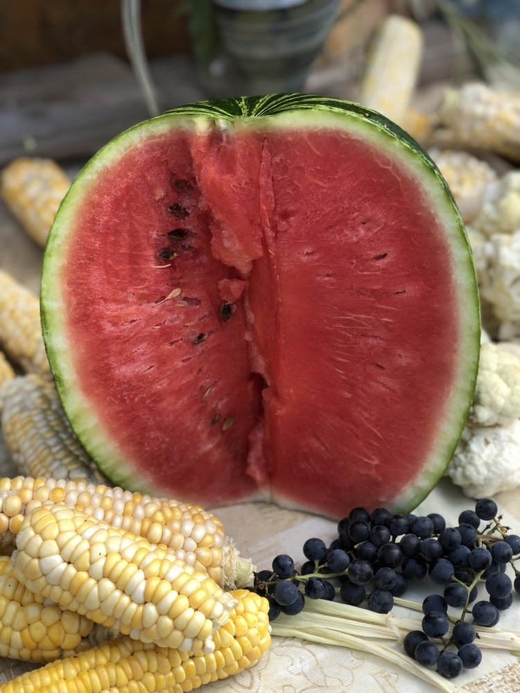 Photograph by Ольга Рогозинская