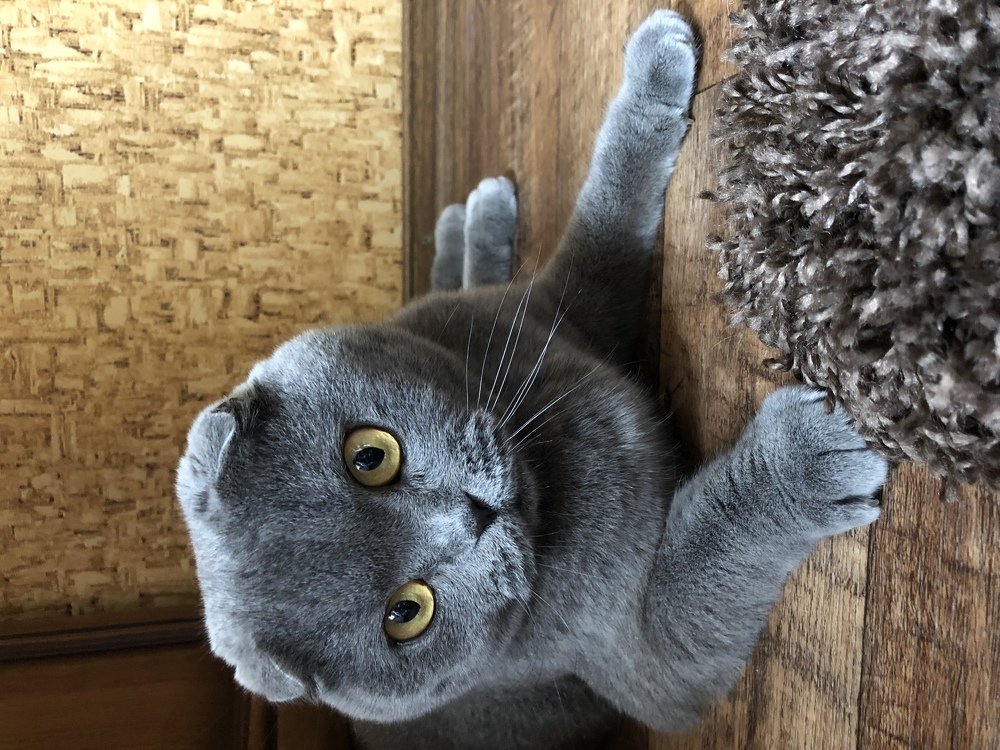 Photograph by Ольга Рогозинская