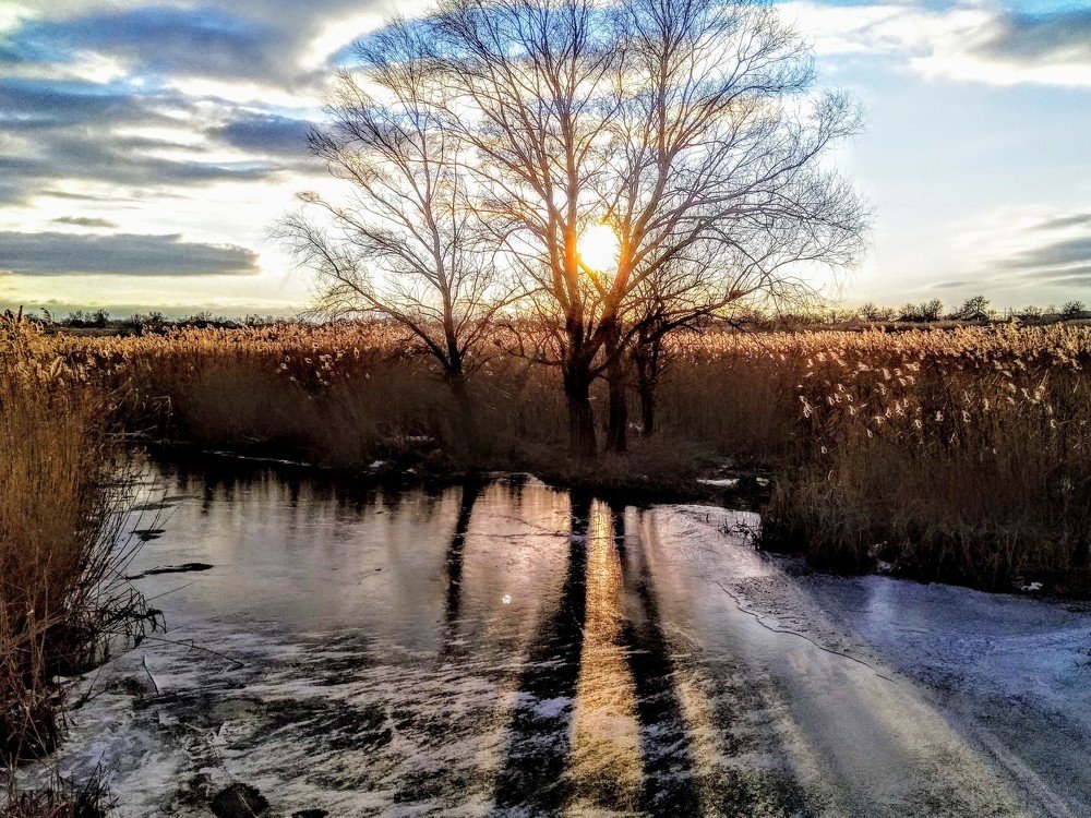 Photograph by Денис Лащ