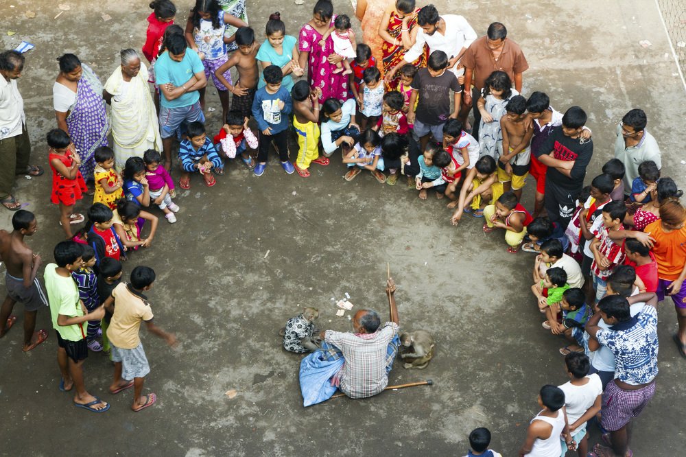 Monkey dance in Calcutta