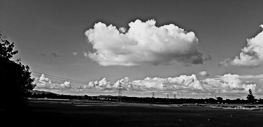 Black and white landscape