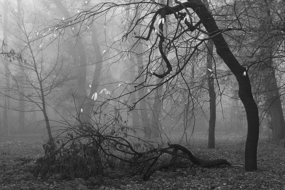 Утраченная любовь